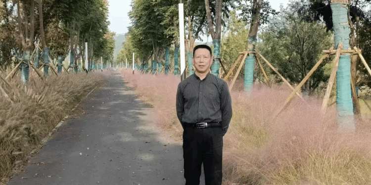 【郭跃明】石洞书院复兴赋